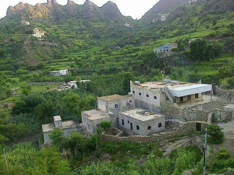 alsageralwaeli's profile picture. 