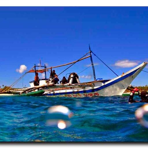 DiveGurus's profile picture. DiveGurus Boracay has been delighting certified divers with personal and knowledgeable fun dives around Boracay Island since 2000.