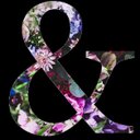 The Blonde One - @annie_batchelor - Twitter