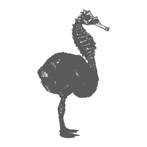 Graphic Design & Illustration