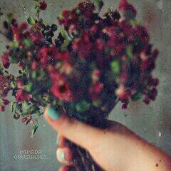 ‏‏تابعني اتابعك،رتويت للمفضلة ولك بالمثل.