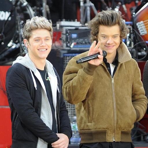 DIRECTIONERSSFORLIFE33
