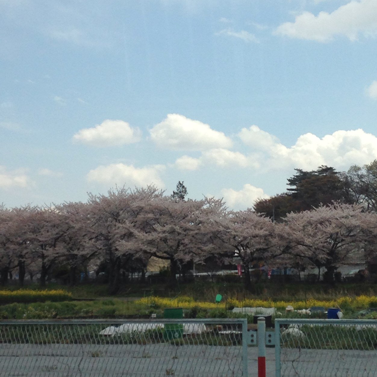 artsato1261's profile picture. 