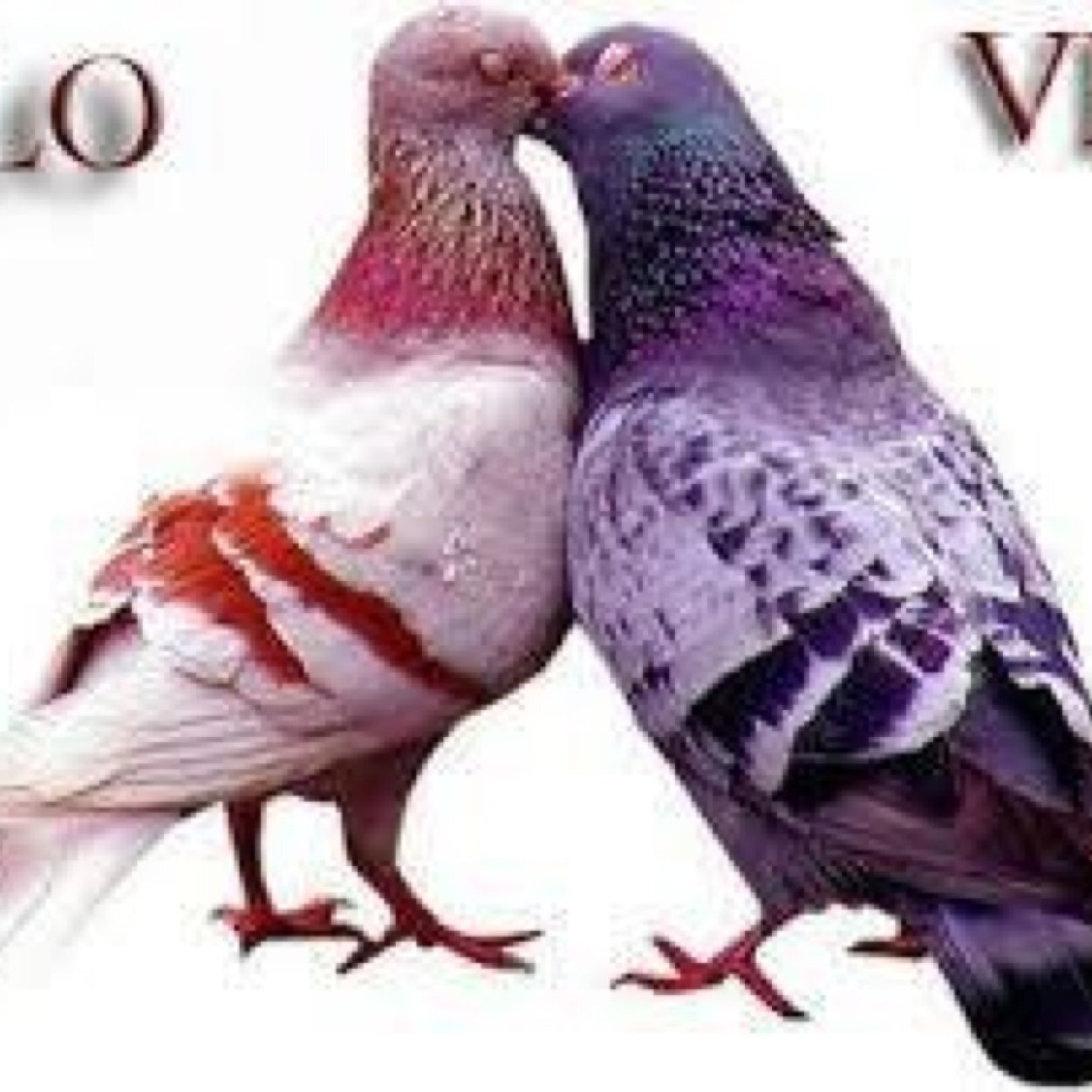 md_mostufa's profile picture. 