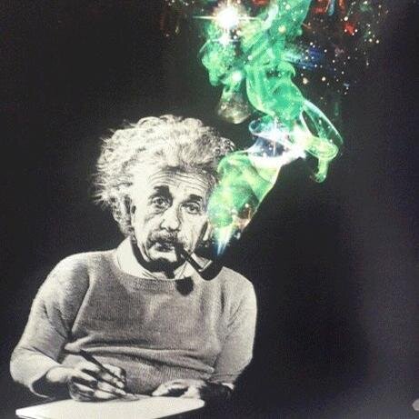 Gardener_24's profile picture. Gardening fan. On my blog you can find info about everything that grows :)