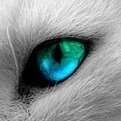 dibujante aficionado, mencata el lol, gamer, firma actual; Allen Nasuki... y paso de contar mi vida ;D