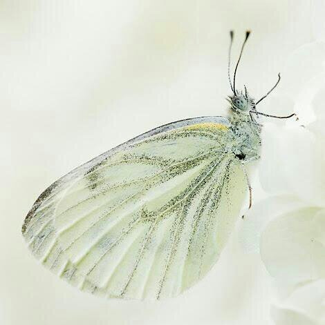 39 jaar | vader van 3 kinderen | amateur natuurfotograaf