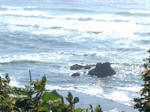 chaniejc's profile picture. 