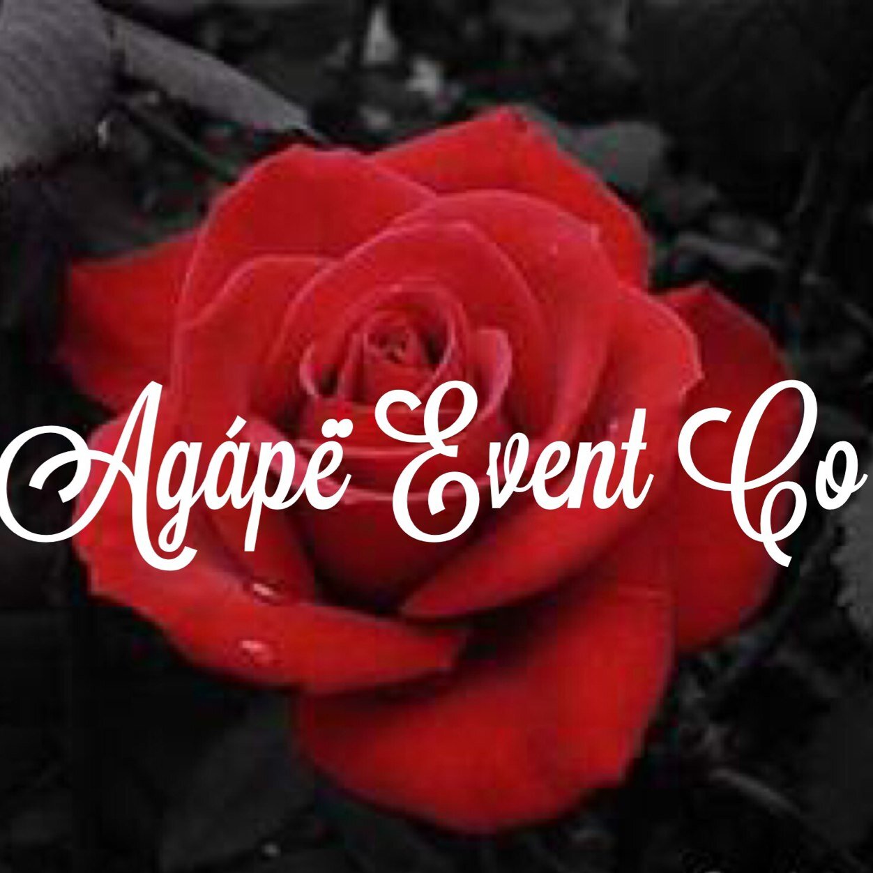 Planning Your Events with Love! AgapeParties@gmail.com (502) 771-0821