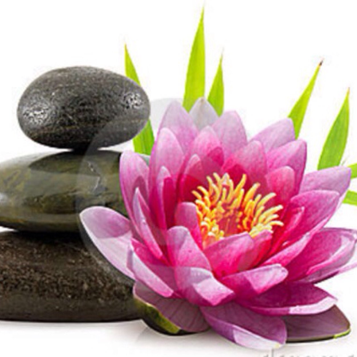Mon passage aux cosmetiques naturelles et /ou bio..
#cosmetique #homemade #naturel #bio