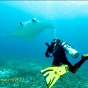 Roberto piazza - @robbiepiazza - Twitter