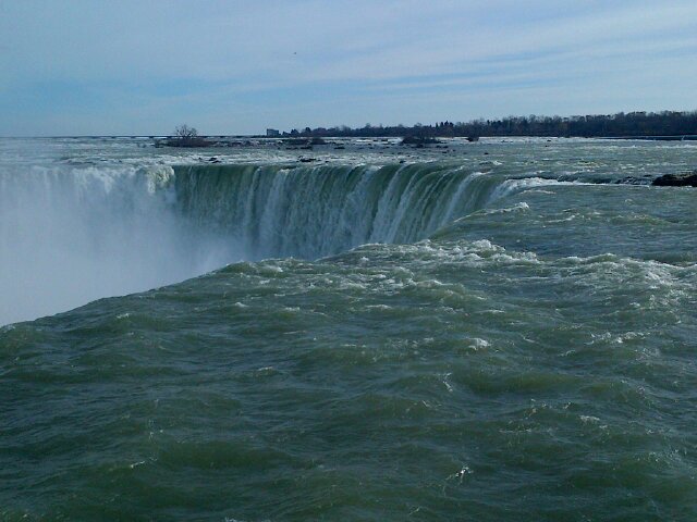 nlagrutta's profile picture. 