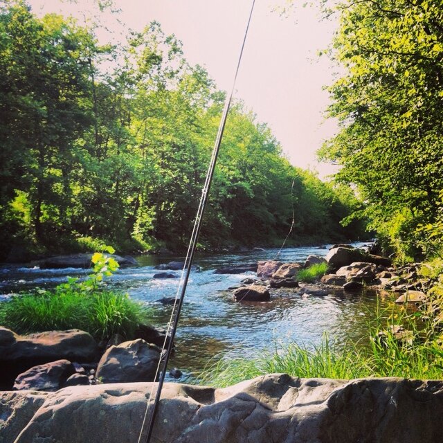 Husband, Dad.  Fishing, golf, roto baseball, Wazzu Football, listening to songs.