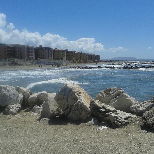 StefaniaFergola's profile picture. 