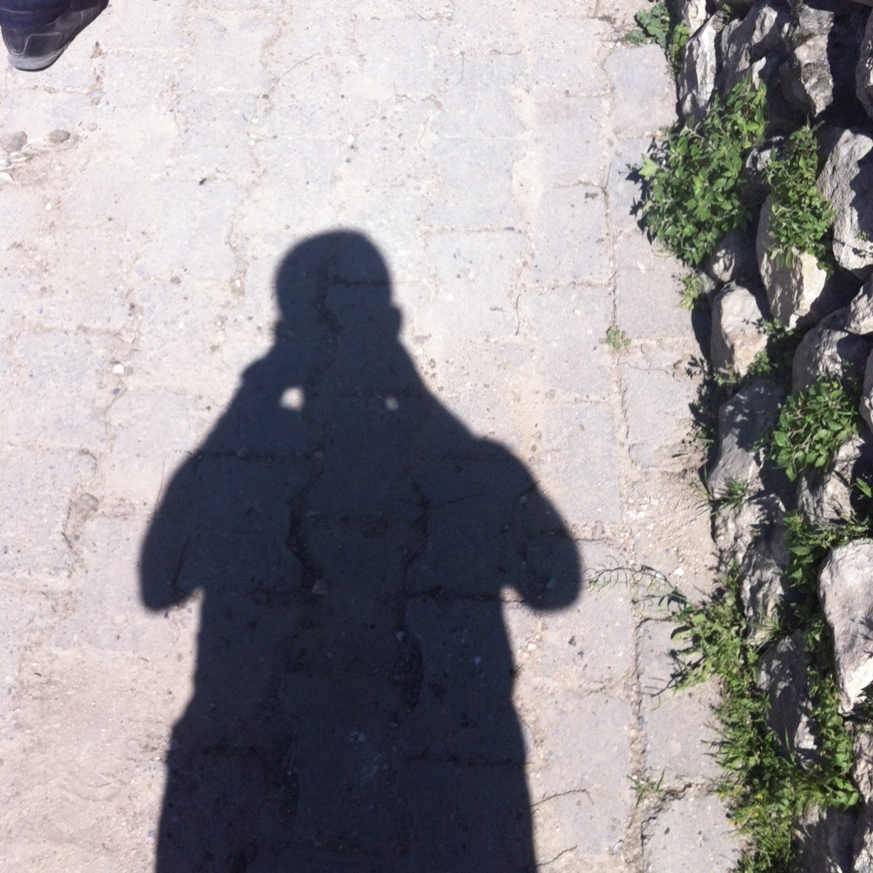 kollaterall Profile Picture