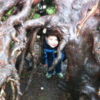 FriendsBelleVuePark (@bellevuepenarth) 's Twitter Profile