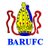 bishoprugby's profile image