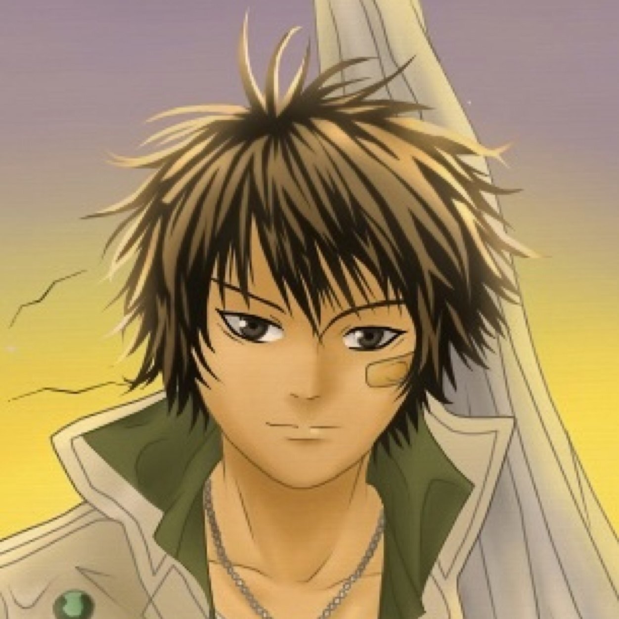 anime, manga, an music. love them all. fav 1 peice an fairy tail an many more. member of the shining moon clan. favorite song I want it all by Queen.