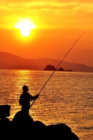CIKOLATA.  PATATES KIZARTMA..BALIK..SEYAHAT.. KITAP..SINEMA..MUZIK..TIYATRO..YURUYUS.. FUTBOL.. BASKETBOL..CEVRE.. DENIZ...
IS..DONDURMA..YAPRAK SARMA..BOREK..