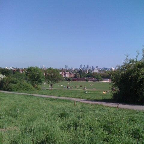 Large green space in north London