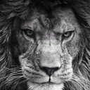 مايد الجابري (@0077Mayed) Twitter