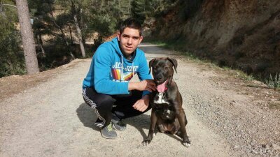 GuillemPerez97's profile picture. 