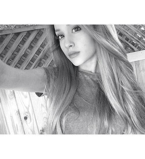 arianallgdr_ Profile Picture