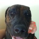 Elijah Perry - @elijahperry10 - Twitter