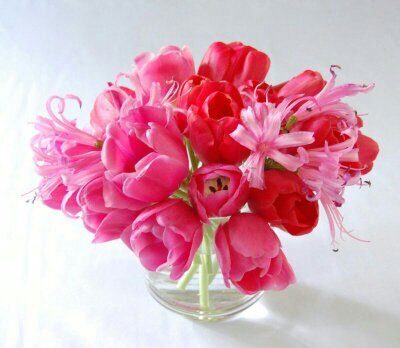 EvaBenjamin's profile picture. 