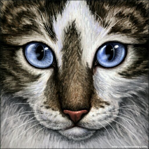 Pretty she-kit, Mom ; @BadgerOfMouse Badgerpaw Dad ; @Dagger_Of_Ice BarkClaw Sibling ; @ShadowSwift_ Shadowkit Clan ; PowerClan