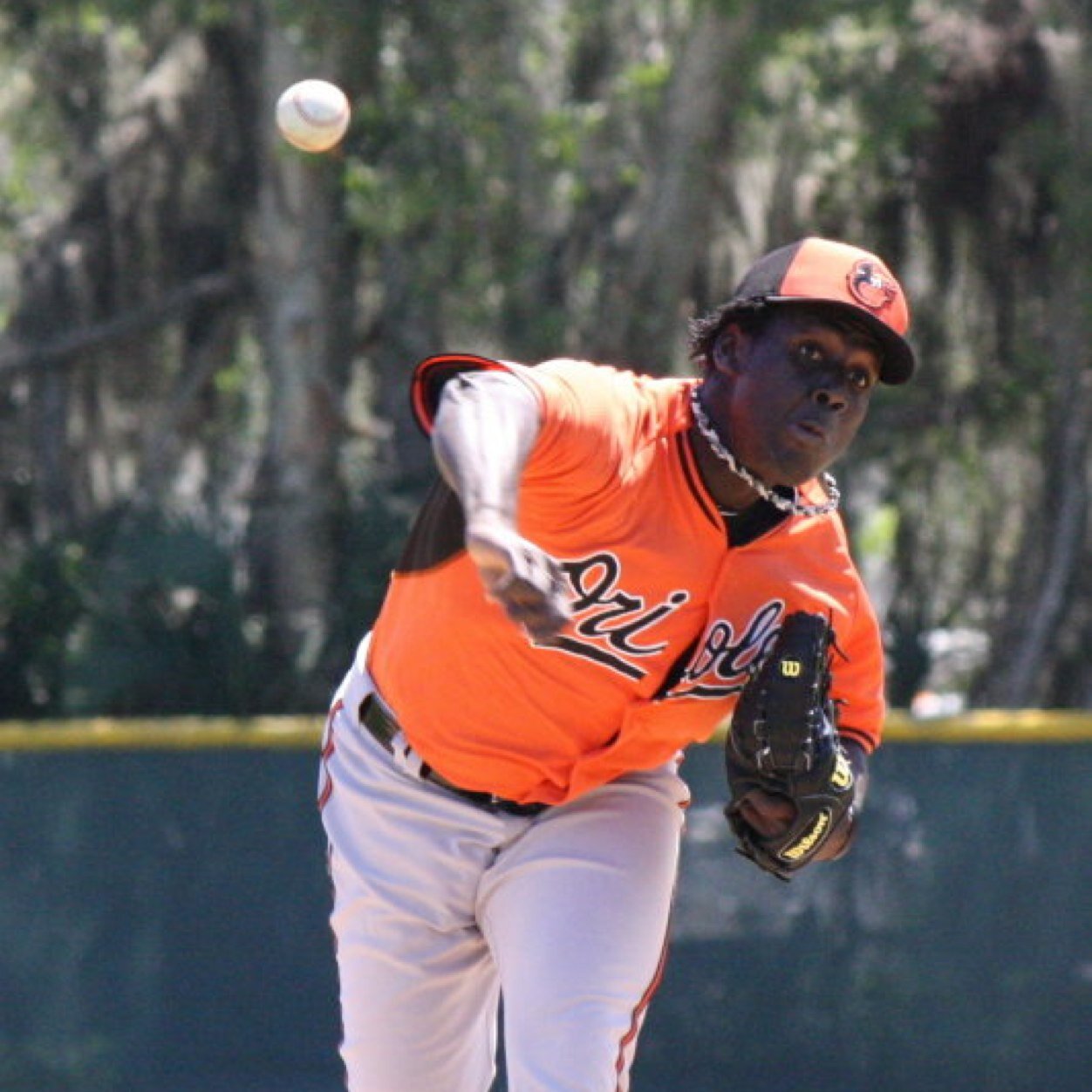 WLouico10's profile picture. baseball profecional ..baltimores orioles