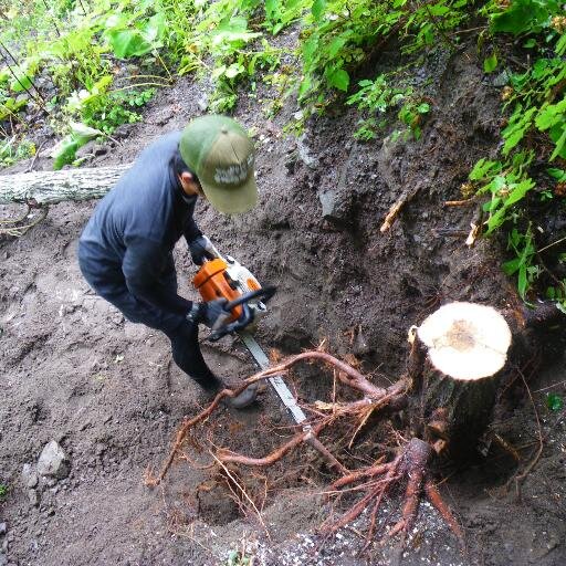 EarthSurface's profile picture. ぼちぼちいこか。