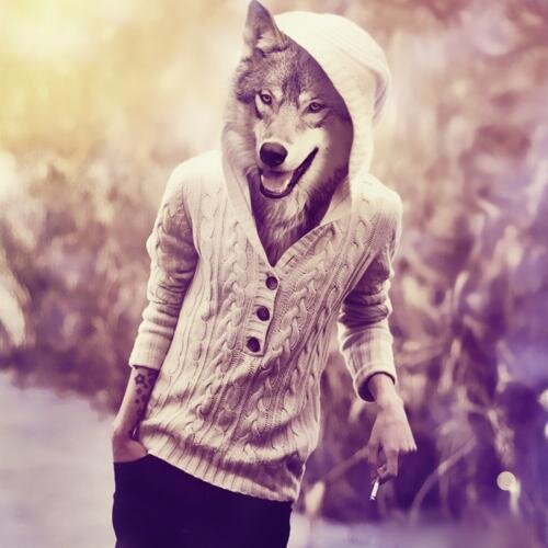 cristiyo25's profile picture. 