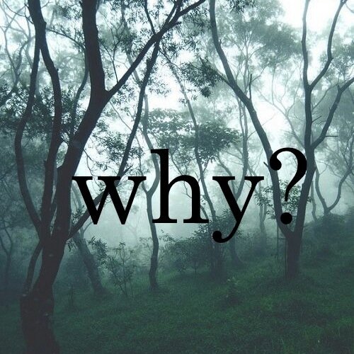 We try to be what were not…