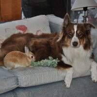 Jodi McCutcheon (@mamamccutch) 's Twitter Profile Photo Jodi McCutcheon (@mamamccutch) 's Twitter Profile Photo