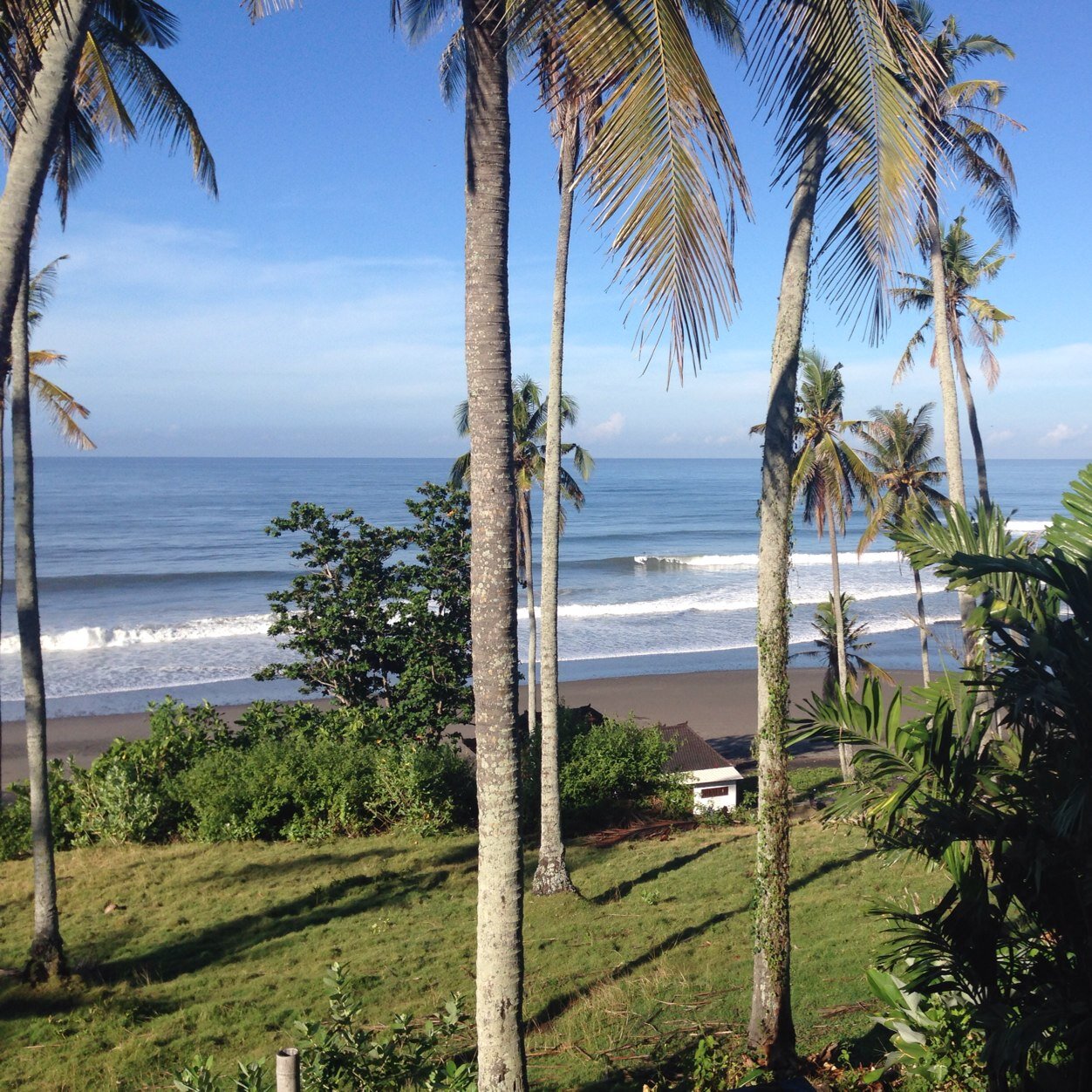 geoffmn's profile picture. Never Give Up !