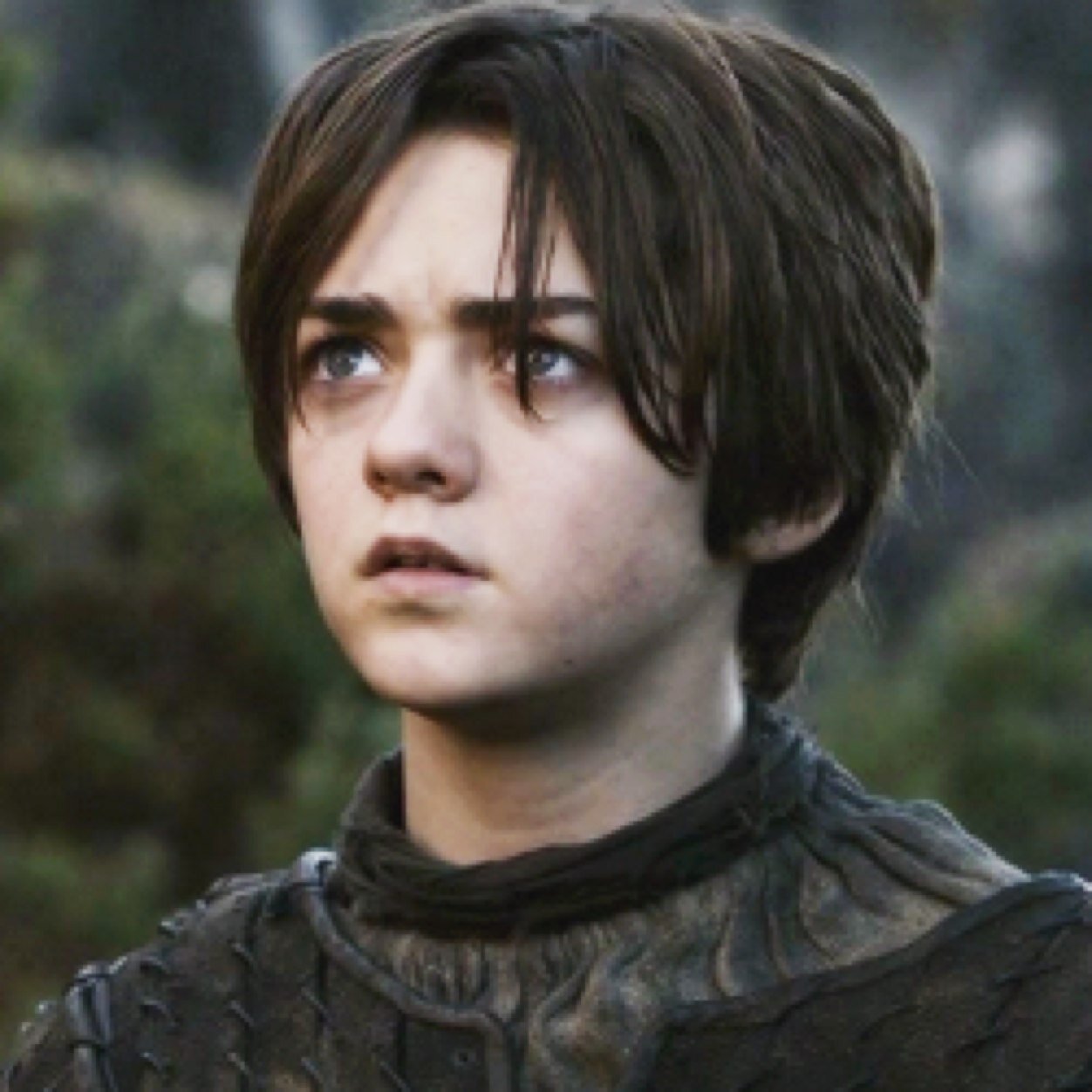 I don't want to be a lady. I want to be a knight. [18+/GoT/RP]