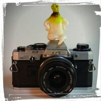 農大世田谷写真部 (@nodai_photo) Twitter profile photo