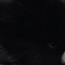 lol - @Aiden_Ray_Scott - Twitter