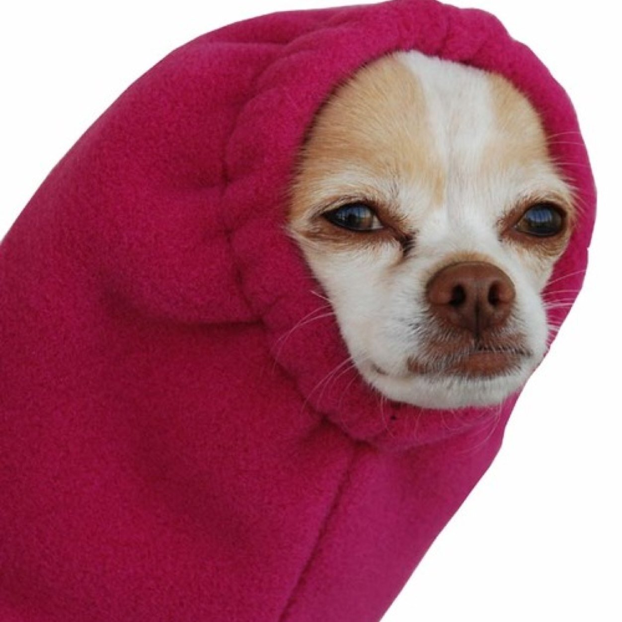 ___wakemeup's profile picture. Yo soy la mas malota de la pobla oezi.