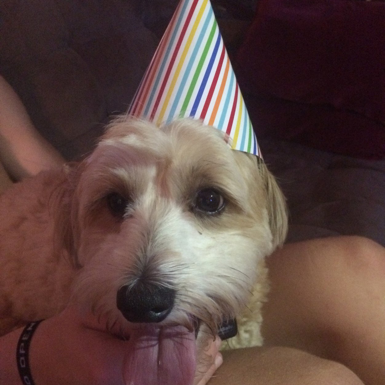 kristi_buce's profile picture. 