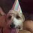 kristi_buce's profile image