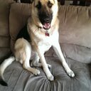 Carter Beckstrand - @CarterBeck55 - Twitter