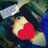 Kj8Tadamomo's profile image
