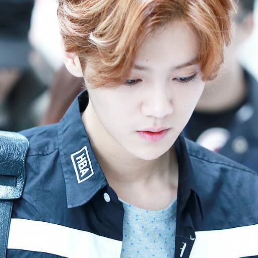 FOLLOW @southluhans instead of this account for 20 free follows! This serves as my followback too. ♡
