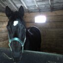 Rhonda Dickson - @DicksonRhonda - Twitter