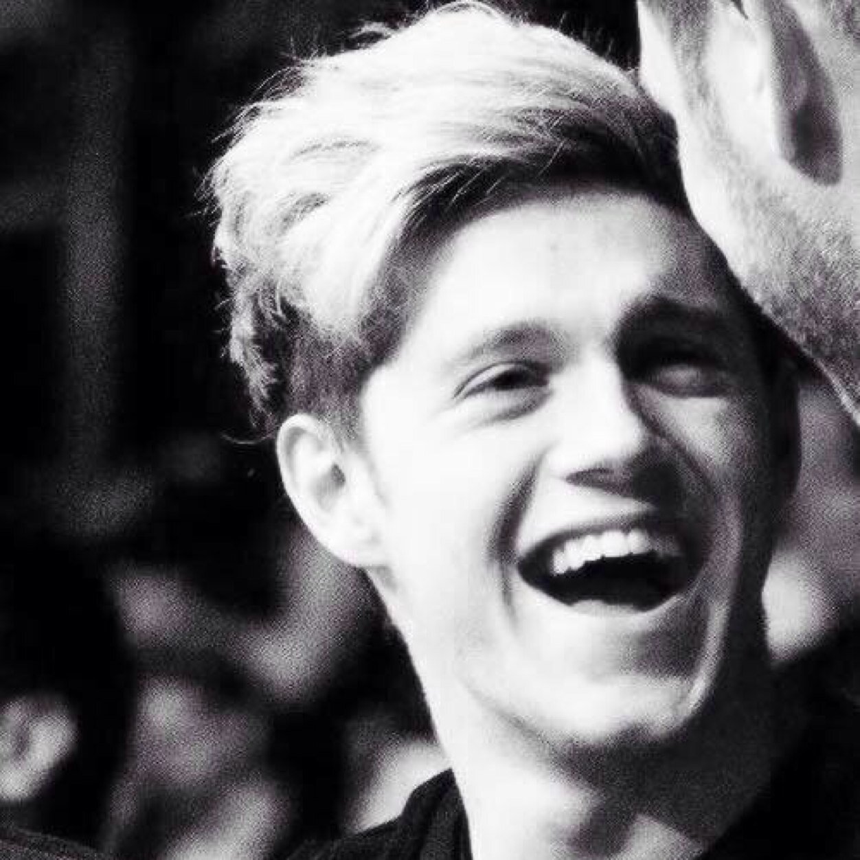 I'm italian Directioner.....I love my Idols....follow me Vi Amo Idoli! Grazie di tutto!