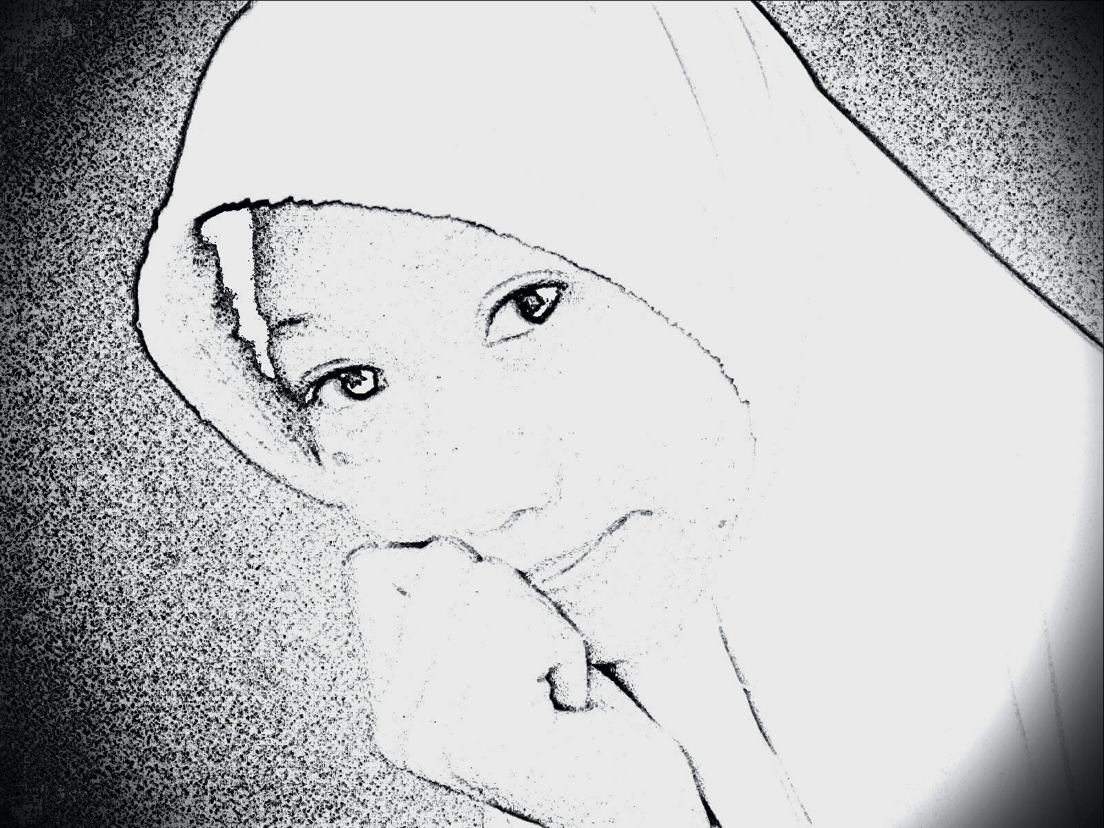 ExoCahyaa's profile picture. 