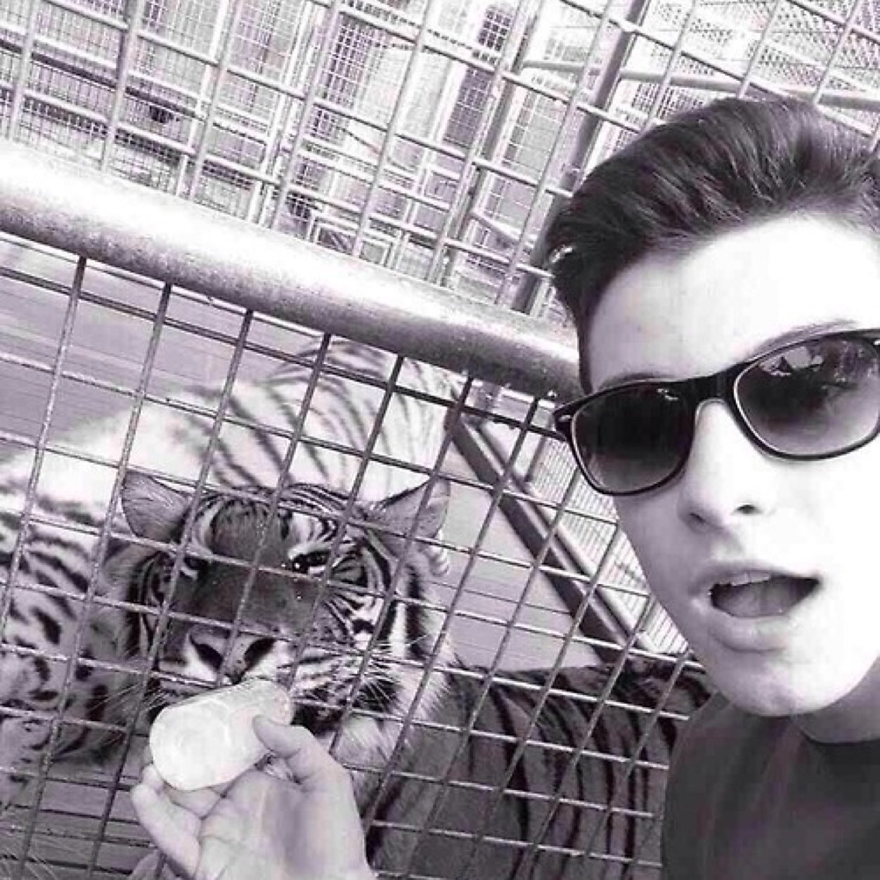 theamczingfake's profile picture. 