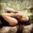 Claudia_165's profile image
